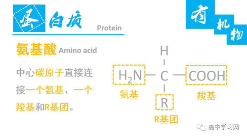 高中生物中的无机物和有机物基础知识梳理