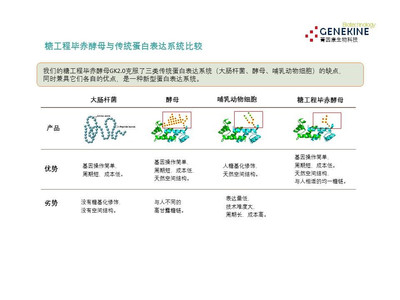 我们希望成为未来生物医药原材料蛋白的颠覆者,默克是我们的目标