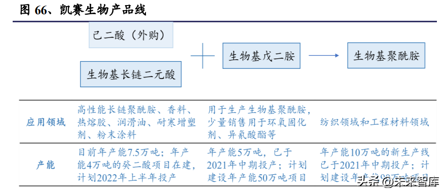 合成生物学深度报告:推陈出新,欣欣向荣