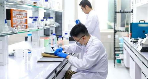 十年磨一剑 这群青年科研人员破解河蚌开合之谜