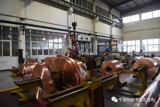 又有两大重点研发平台落户新区,这是要爆发的节奏啊