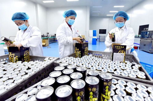 六月艳阳天,适合喝的湖北冷泡茶,有这些