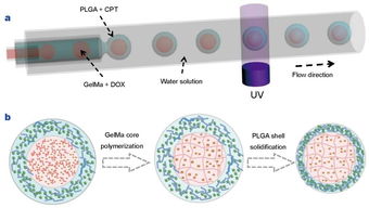 生物材料的多样性和dds设计 药物传递系统 专刊图文详解