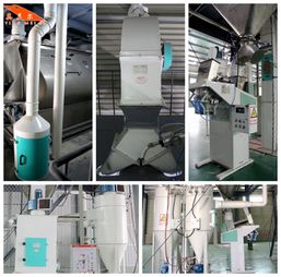 小尾寒羊快速催肥在线咨询