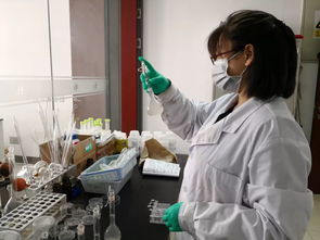 创新的基石 二十六 小分子,大健康