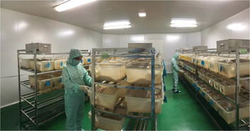 第13届ai会,宁波第二激素厂与大家共同抵御 非瘟