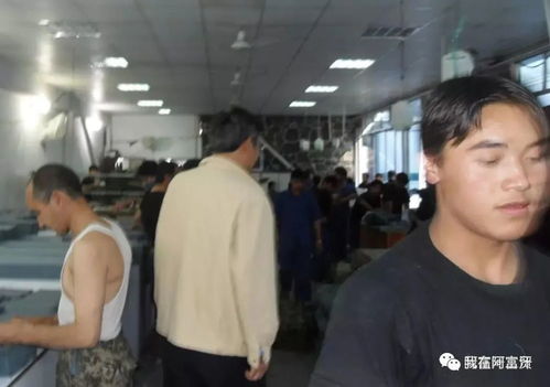 阿富汗各种原料充足,只是缺乏生产技术和工艺与阿富汗工人的工资与福利