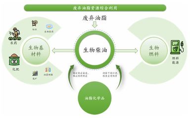 卖"地沟油"的准独角兽冲刺IPO了!
