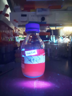 新型碳基纳米材料助力农业应用