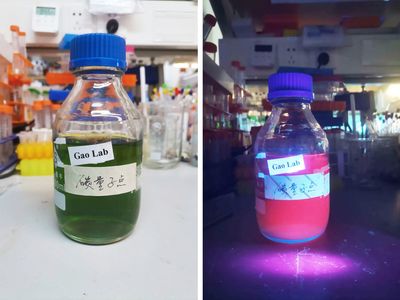 深圳科学家研发新型纳米材料,有望提高农作物产量