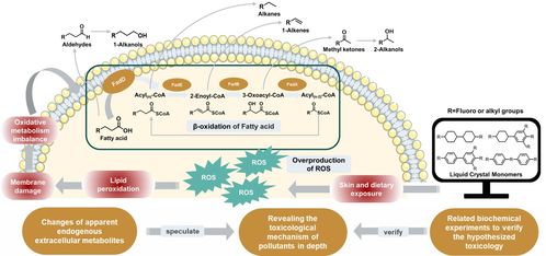 探明微塑料与液晶单体等新污染物微生物毒性效应