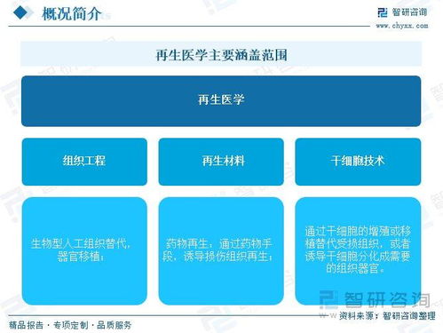 再生医学行业前景如何 先进医疗技术需求增长,全球市场规模加速扩容