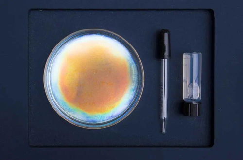 生物纺织研究 跨领域设计师们继续给你带来绿色灵感