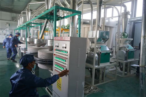 长子县西王坡东村 传统工艺 磨 出乡村振兴致富路