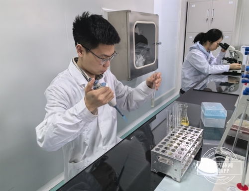 加快发展新质生产力 吉林一线观察 之新动能 新产业 吉原生物公司 创新升级 水凝胶材料的领跑者