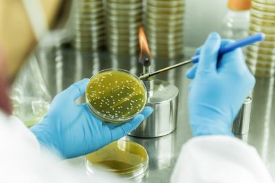 战新产业“百大工程”|招商局集团领航生物基聚酰胺创新突破 打造生物经济新引擎