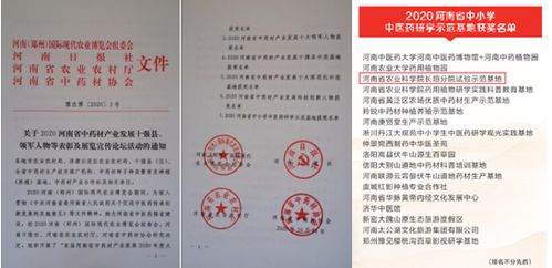 我院喜获2020 河南省中小学中医药研学示范基地