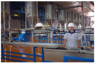 30万吨高分子复合材料生产研发项目在南充投产