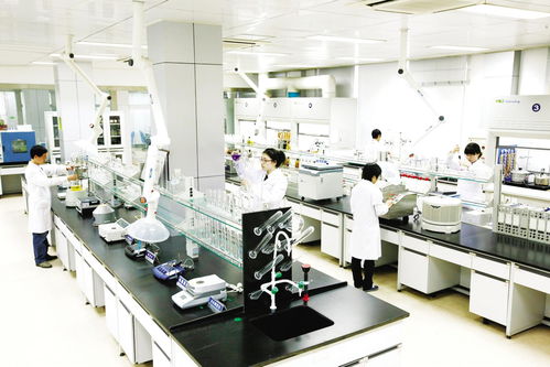 烟台日报电子报刊