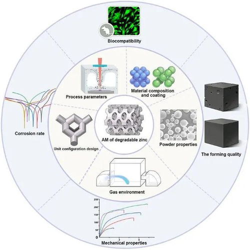 重庆大学l同济大学l北京大学l增材制造锌基生物材料的研究进展