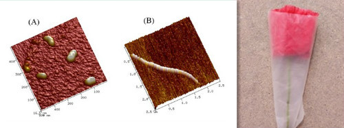 水保所在生态环境治理新型材料研发方面取得系列进展
