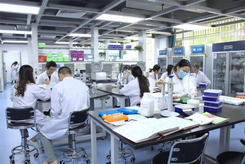 海南大学 强化合与引 反哺自贸港