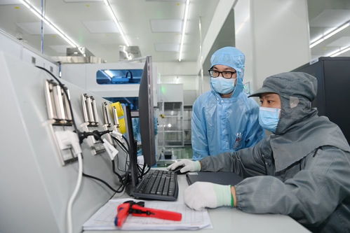 大数据助力生物育种节本增效 5g与智慧农业育种论坛扫描