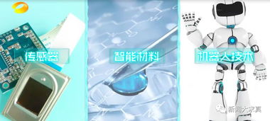 不久后 鱿鱼须 将替代塑料