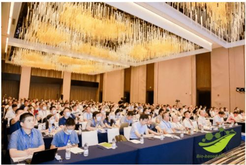 dt新材料 拼搏的2020,进击的2021