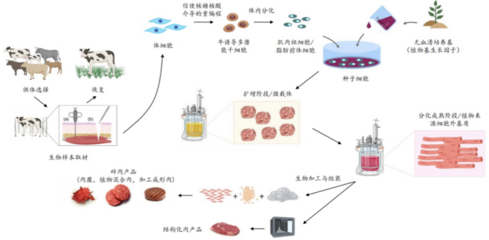 226起投融资、52个过亿项目.食品饮料行业有哪些潜力赛道值得挖掘?