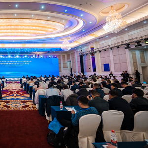 第十届生物基与生物分解材料技术和应用国际会议在芜召开,鹏力塑造获授行业展链贡献奖