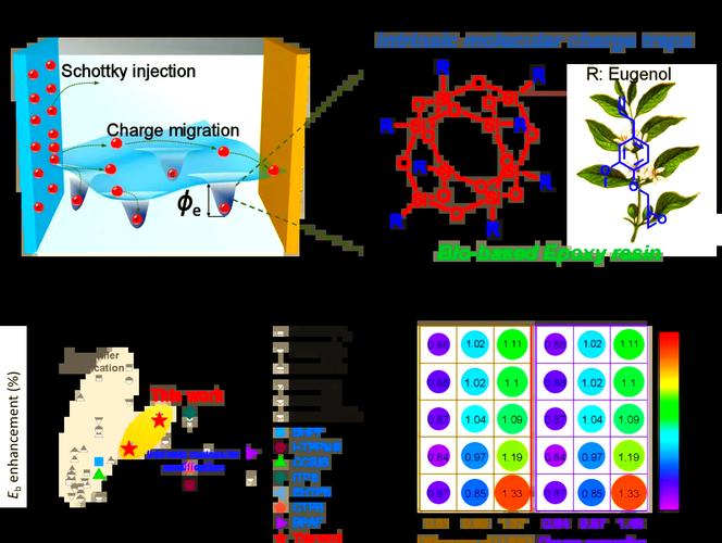 中科院宁波材料所刘小青团队研发环保型电工环氧树脂