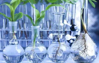 无处不在的化学 生物基材料技术研发的机遇与挑战