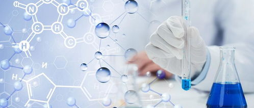 PE发泡塑料配方分析与检测标准及生物基材料技术研发