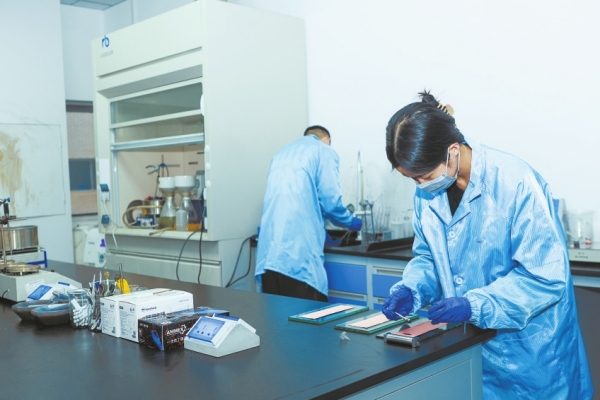 产业倍增 乘势跃升——新能源产业链上新质生产力观察 湖南领跑'储能'赛道与生物基材料技术研发