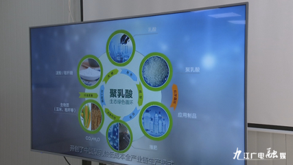 罗小云副省长赴浔调研聚乳酸全产业链项目，聚焦生物基材料研发新进展