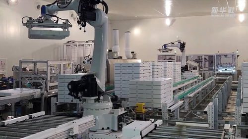 新华全媒 探访大型 无人植物工厂