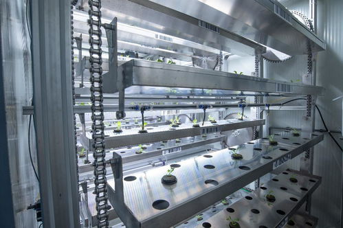 ai技术真的能让农业不再 靠天吃饭 吗