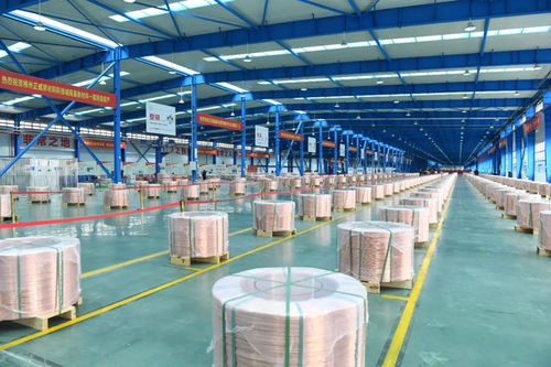 市州冲冲冲⑩ 郴州 郴 势而上 蝶变进位