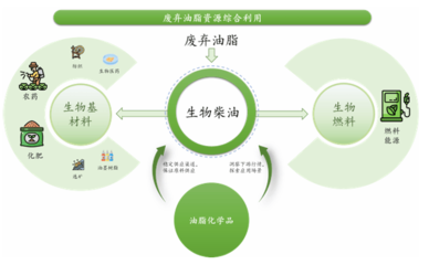 卖“地沟油”的准独角兽冲刺IPO了!