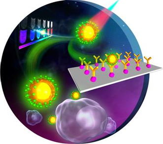 福建物构所稀土上转换荧光生物标记材料研究取得新进展