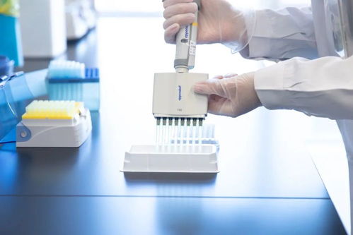 北京协和医院倾力打造疑难罕见病基础研究与前沿技术创新核心基地——生物基材料技术研发