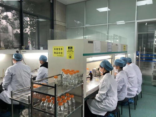 生物选考冲刺提分秘籍 高中生物实验训练营寒假开启，助力未来生物基材料技术研发