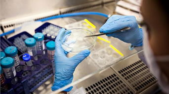 健康产业新机遇 生物基材料技术的创新与突破