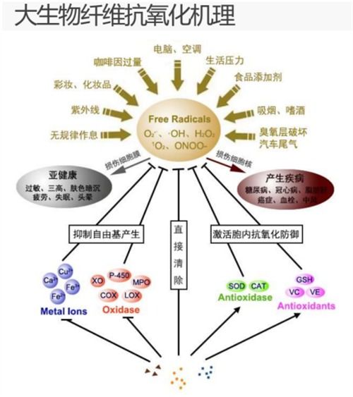 大生物纤维 点燃中国纺织业变革与山东新旧动能转换的燎原之火