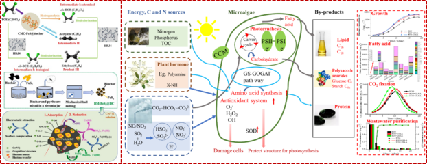 河北工业大学能源与环境工程学院 生物基材料技术研发的先锋与未来