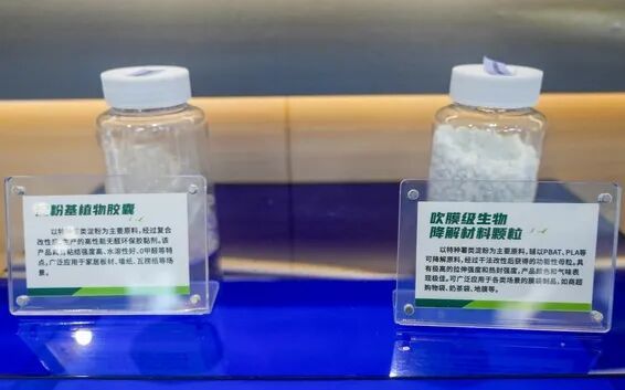 算力土豆 当生物基材料研发在台州破土而出