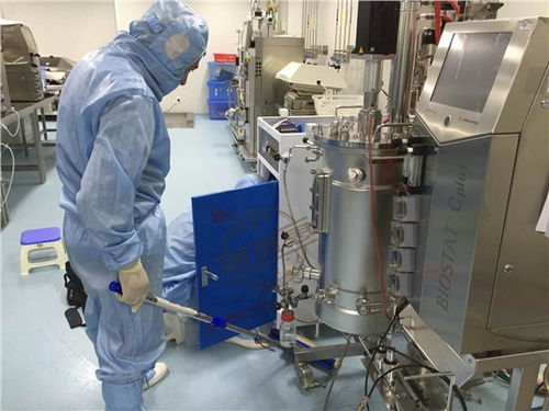 蒸汽能效与生物基材料创新 生物制药厂在川贝枇杷膏生产中的协同研发路径