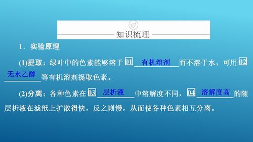 光与光合作用 从生命基础到生物基材料技术研发的桥梁