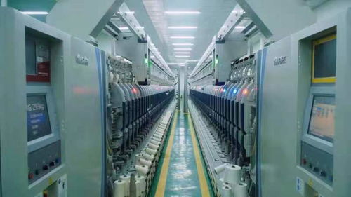 为治理白色污染提供蚌埠方案——记第二届中国生物基材料产业发展大会暨生物基材料技术研发新动向